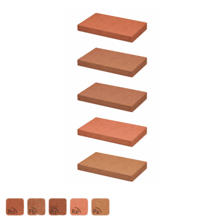 Brique - Passe Violette - 42x20cm - 5cm - Panachée -