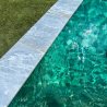 Margelle de piscine en pierre naturelle Bluestone 61 x 33 x 3 cm - Bord arrondi -
