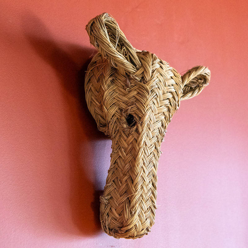 Tête d'animal en Halfa - V -