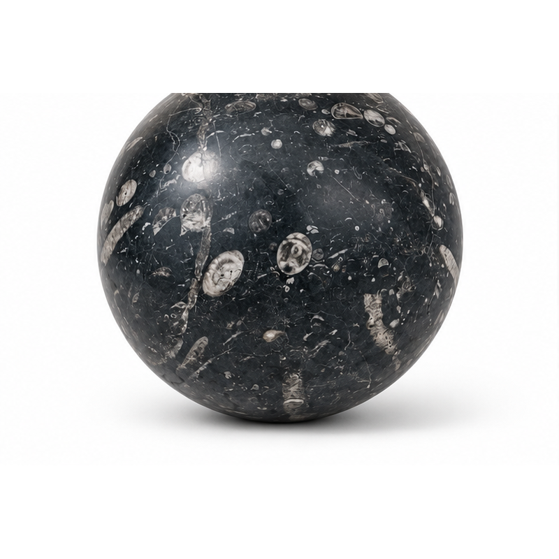 Boule Massive - Marbre Fossile Noir - ≈d30cm -