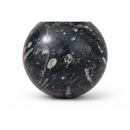 Boule Massive - Marbre Fossile Noir - ≈d30cm -