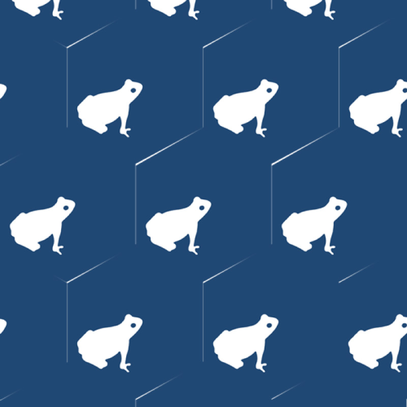 Carreaux de Ciment - Hexagonal - Crapaud - 20x23cm ≈ 18mm -