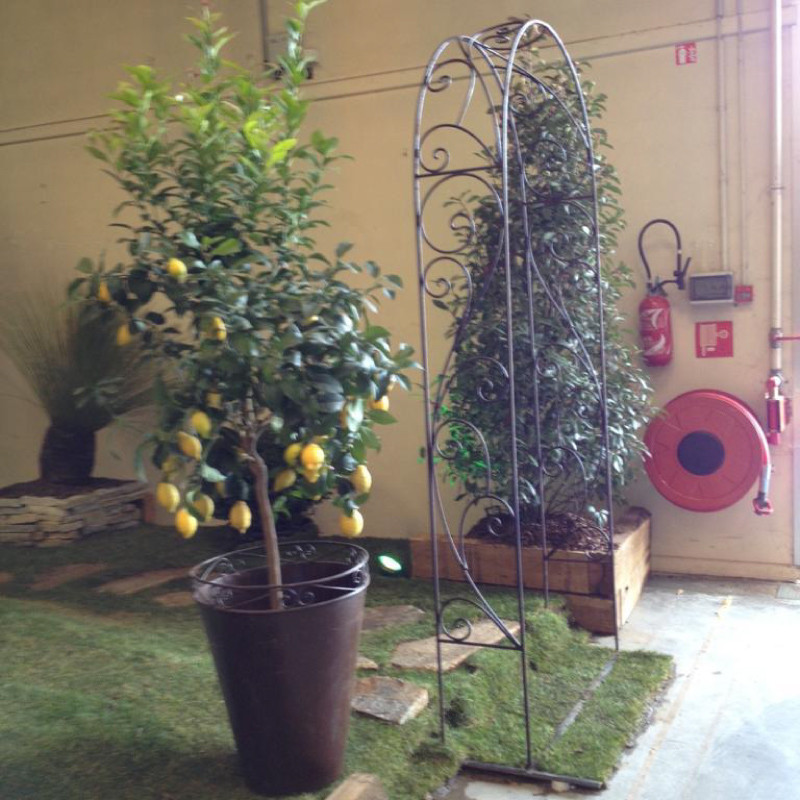 Arche - Fer Forgé - Bouquet - 1m20 / 2m50 hors sol -