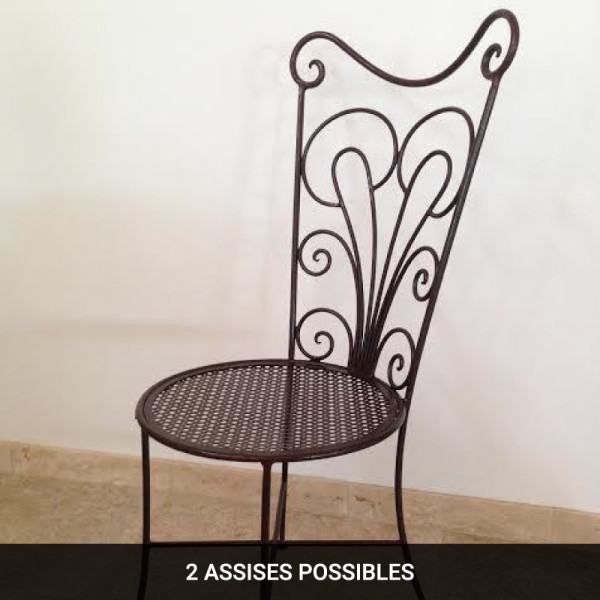 Chaise en fer forgé - Flore -