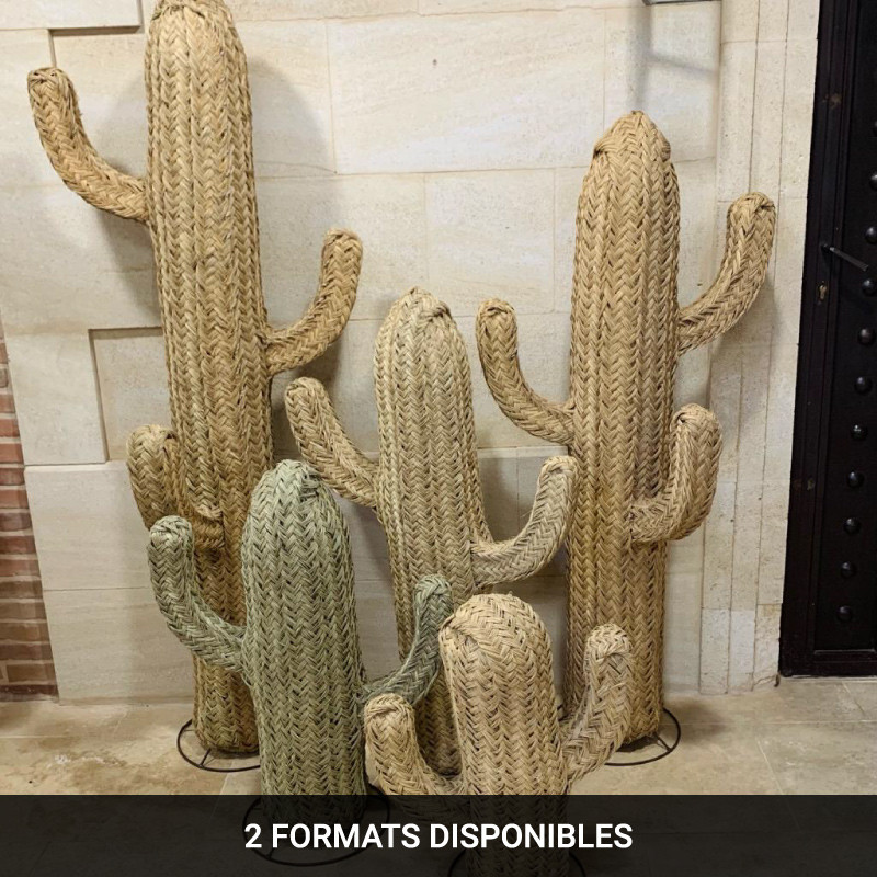 Cactus en Halfa - XS / S -