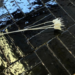 Véritable Bejmat de Fès - Noir Brillant -