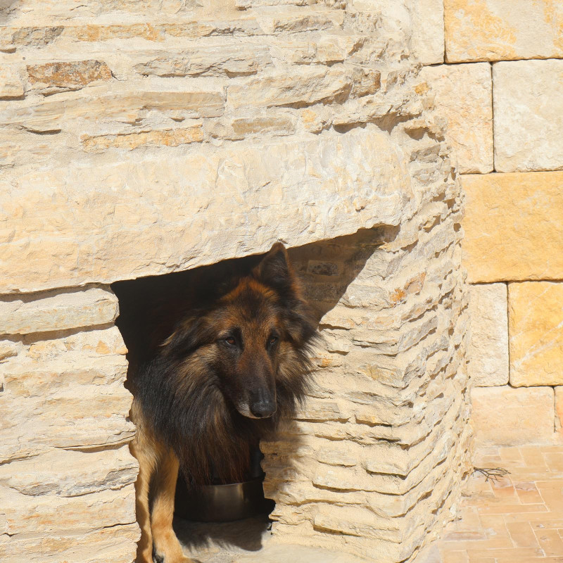 Pierre du Lot - Opus Incertum - Epaisseur 25/40mm - Naturelle - Couche -