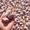 Echantillon - Galet - Echantillon - Galet -