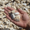 Echantillon - Galet - Echantillon - Galet -