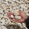 Echantillon - Galet - Echantillon - Galet -
