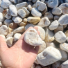 Echantillon - Galet - Echantillon - Galet -