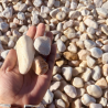 Echantillon - Galet - Echantillon - Galet -