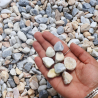 Echantillon - Galet - Echantillon - Galet -
