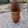 Echantillon - Galet - Echantillon - Galet -
