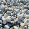 Echantillon - Galet - Echantillon - Galet -