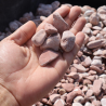 Echantillon - Galet - Echantillon - Galet -