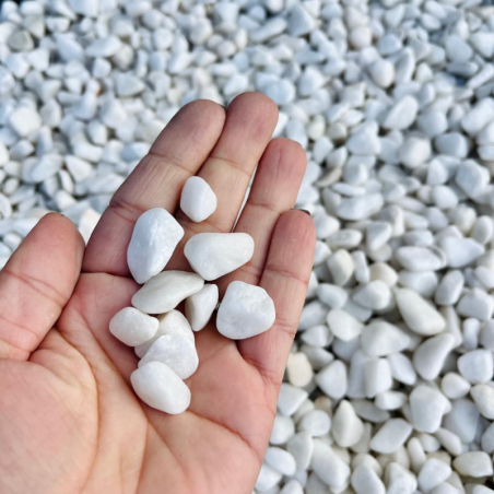 Echantillon - Galet - Blanc - 12/24mm -