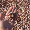 Galet de Marbre Rouge Alicante - 12/24mm - 20 kg -