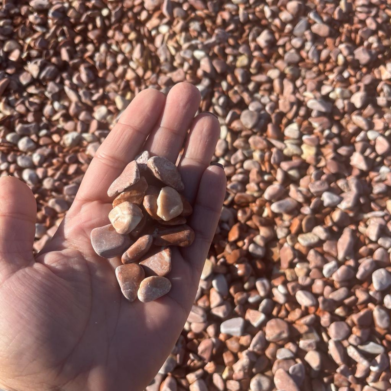 Echantillon - Galet - Rouge Alicante - 12/24mm -