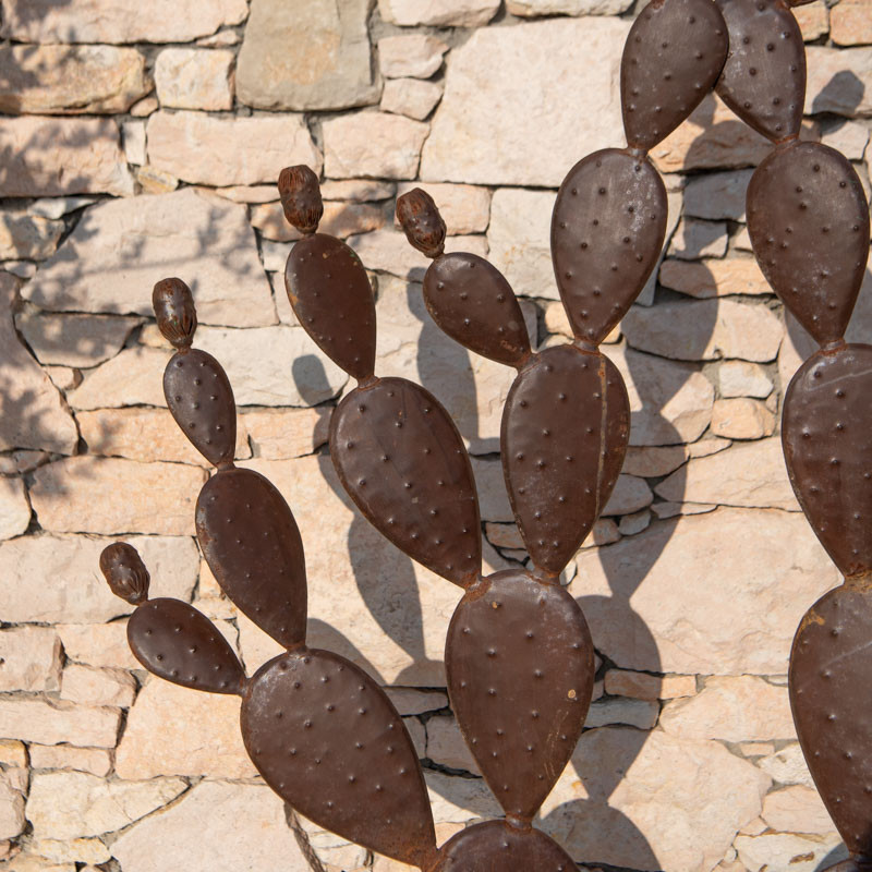 Figuier de Barbarie - XXL - 180/140cm -