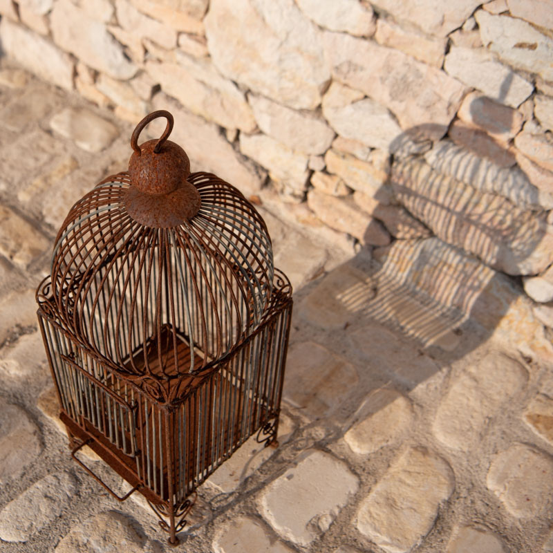 Cage en Fer Forgé - 20/20cm - Hauteur 55cm -