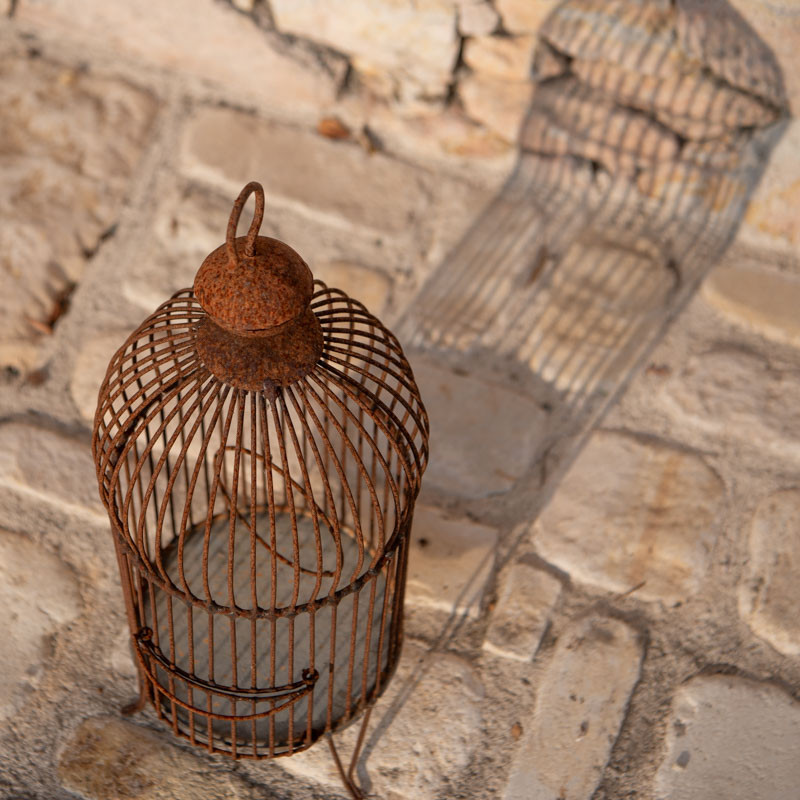 Cage en Fer Forgé - ø 20cm - Hauteur 55cm -