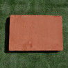 Brique Foraine - 42/28cm 5 cm - Brique Foraine - 42/28cm 5 cm -