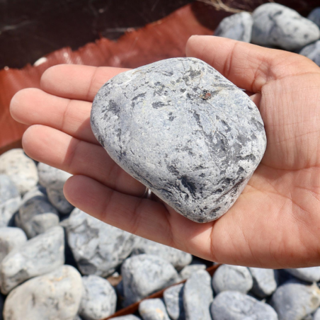 Echantillon - Galet - Noir Veiné Blanc - 40/60mm -