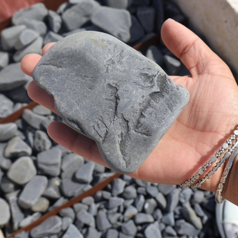 Echantillon - Galet - Noir Réglisse - 40/60mm -