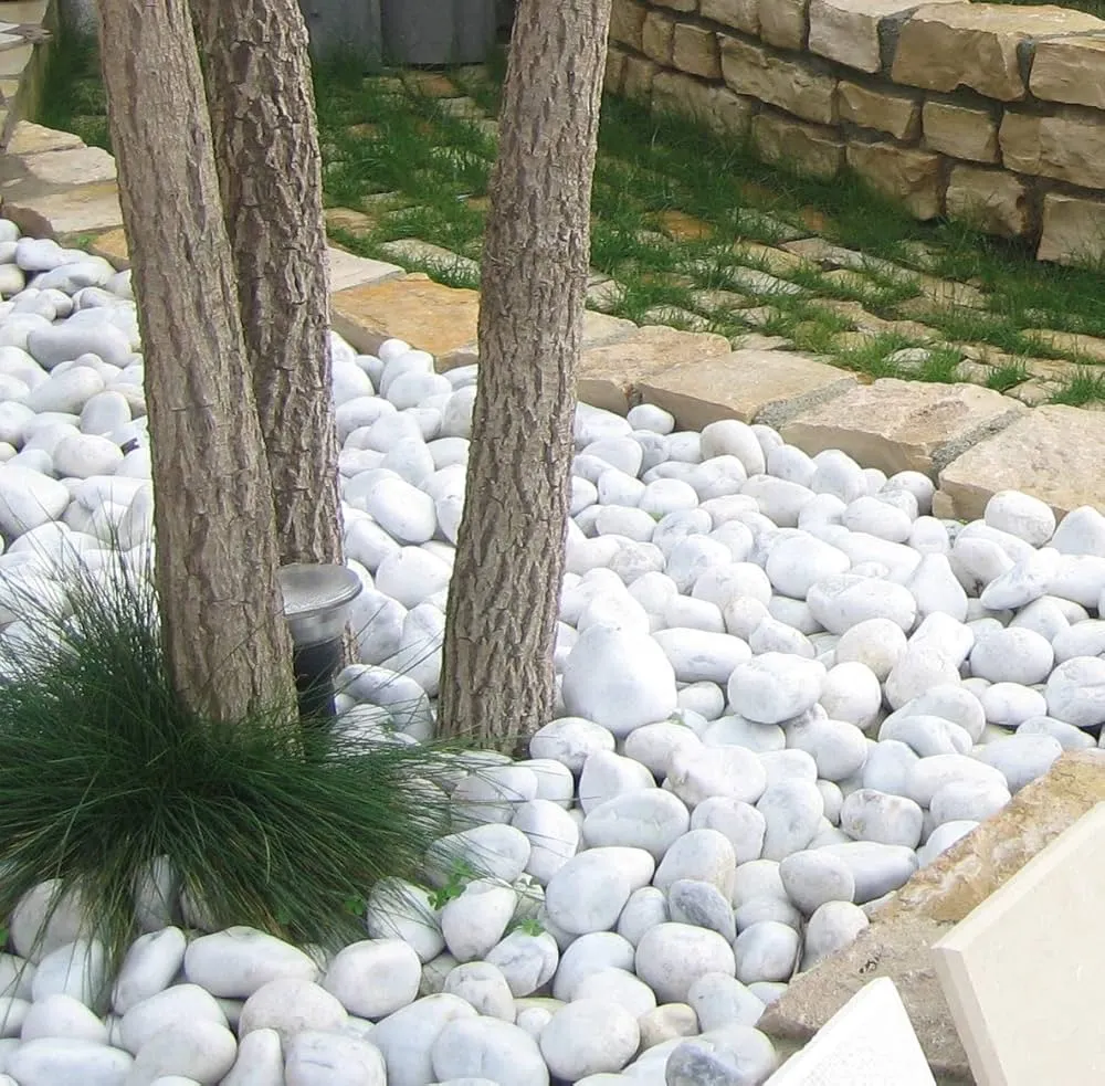 Aménagement paysager avec galets blancs autour de troncs d’arbres, bordures en pierre et pelouse verte.